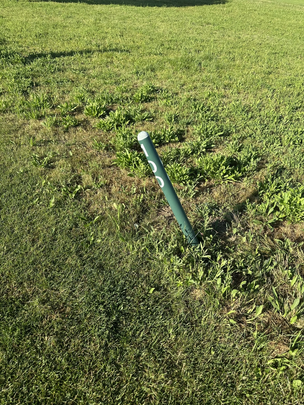 Schräg stehende Markierung im ungemähten Gras